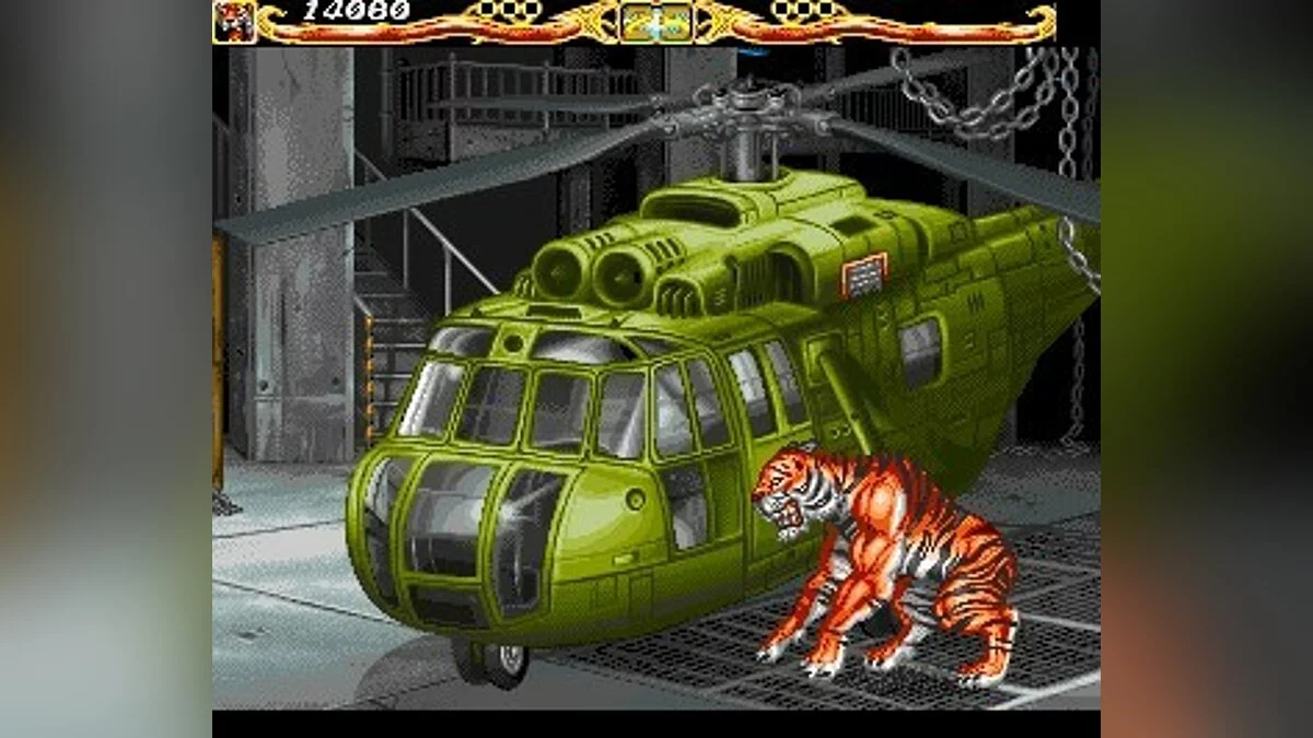 Скриншоты из Fightin' Spirit