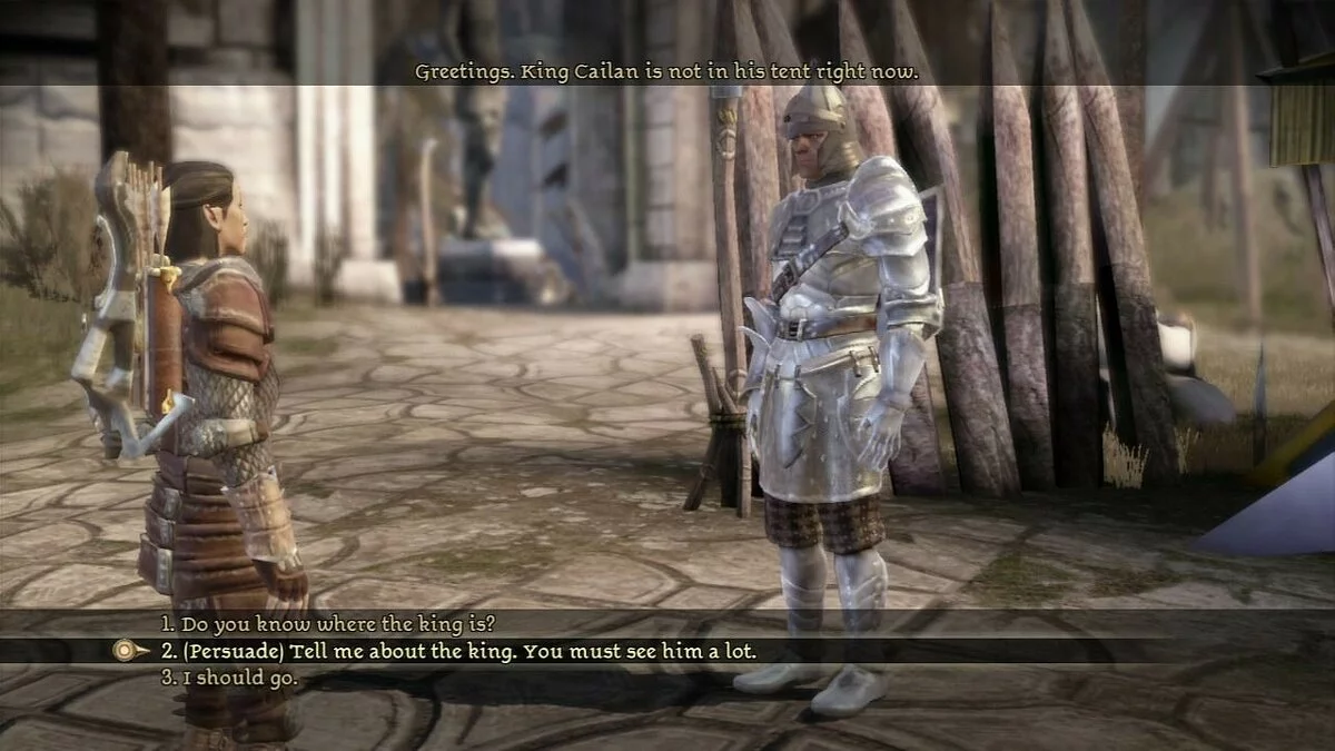 Скриншоты из Dragon Age: Origins / Картинка 314