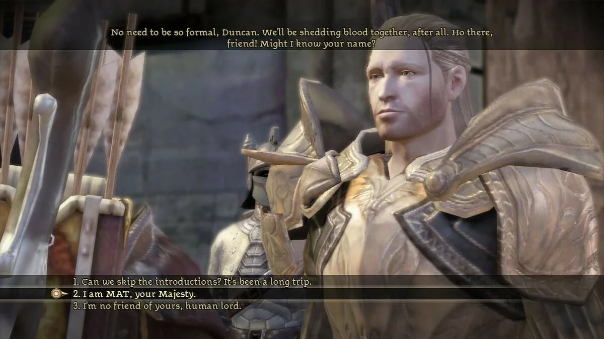 Скриншоты из Dragon Age: Origins / Картинка 338