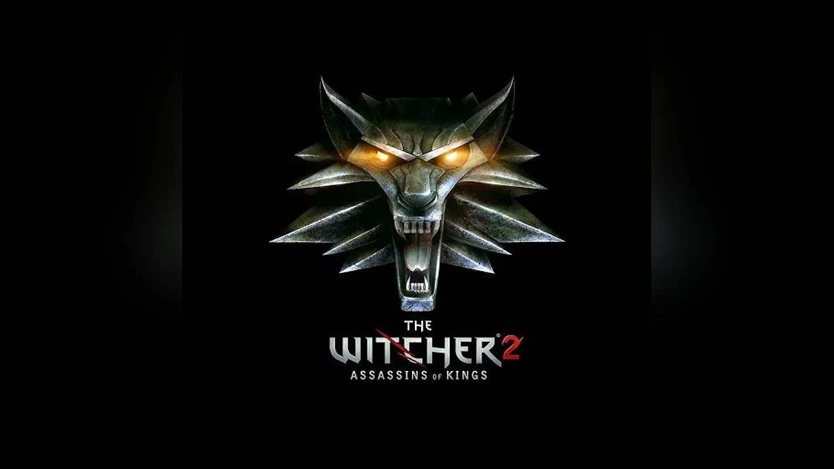 Арт из Witcher 2: Assassins of Kings