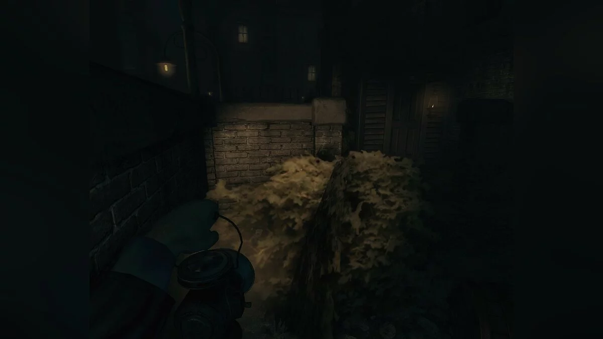 Скриншоты из Amnesia: Collection / Картинка 53