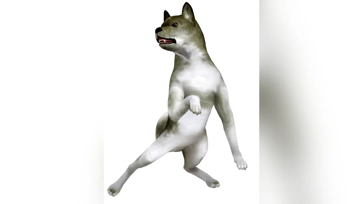 Арт из Tenchu: Fatal Shadows