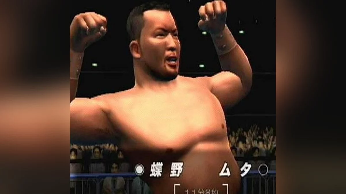 Скриншоты из All Star Pro-Wrestling