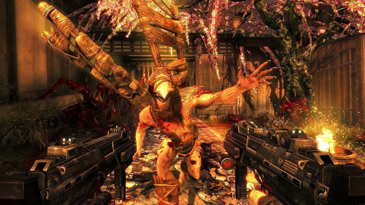 Shadow Warrior - что это за игра, трейлер, системные требования, отзывы и  оценки, цены и скидки, гайды и прохождение, похожие игры