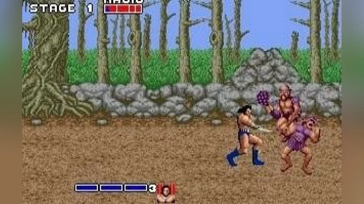 Скриншоты из Golden Axe