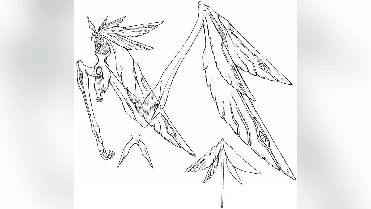 Картинка из 