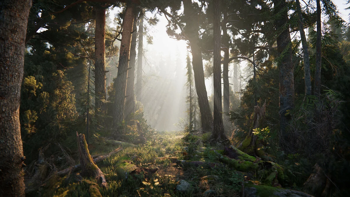 Скриншоты из Book of the Dead