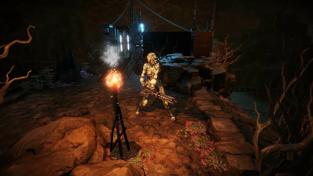 Картинка из 