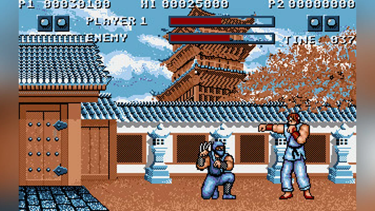 Скриншоты из Street Fighter