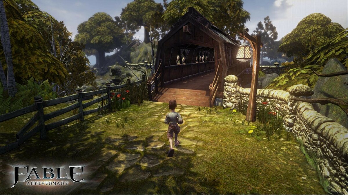 Fable Anniversary не запускается