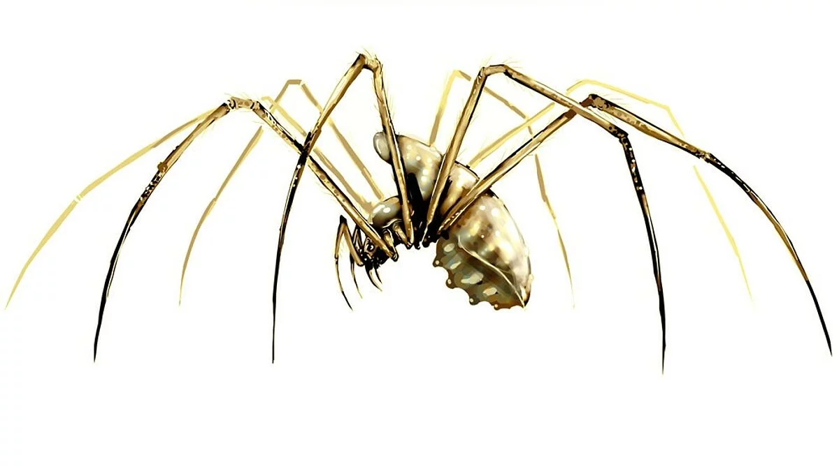 Арт из Divinity 2: Ego Draconis / Картинка 31