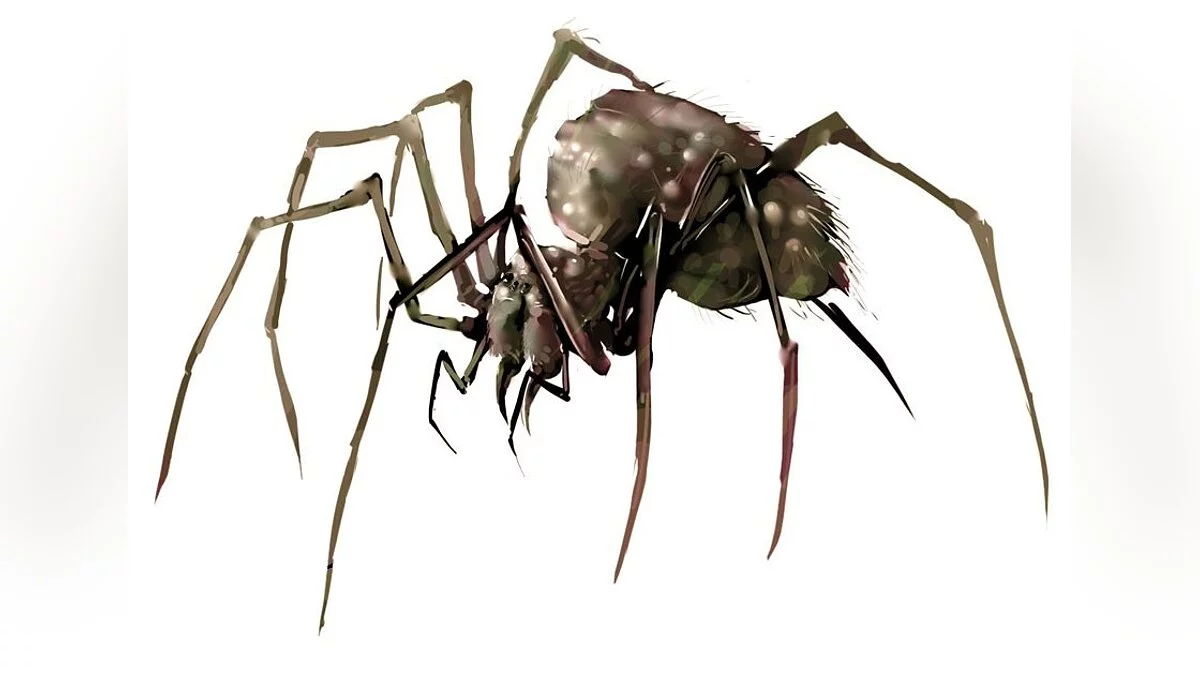 Арт из Divinity 2: Ego Draconis / Картинка 32