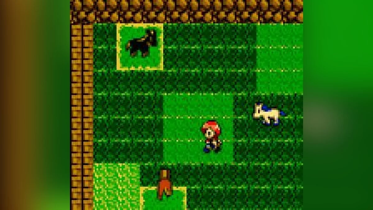 Скриншоты из Harvest Moon 3 GBC