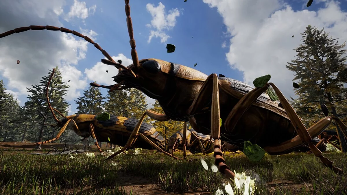 Картинка из 