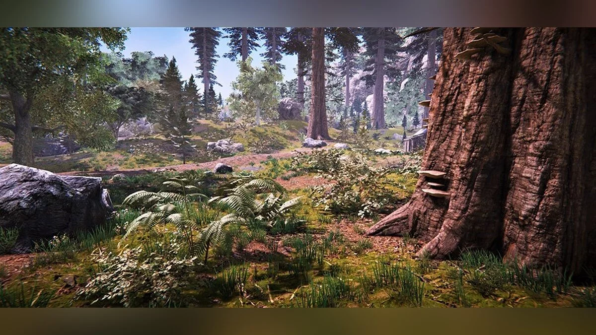 Скриншоты из The Black Masses