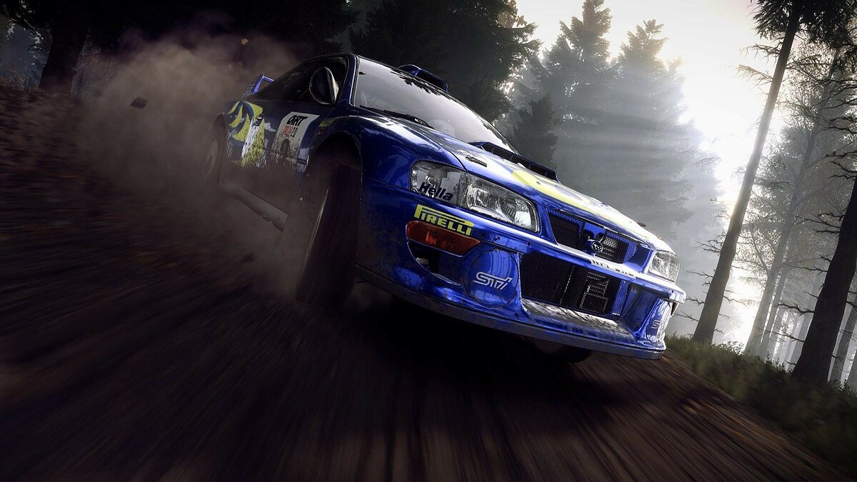 Dirt rally steam скачать торрент фото 86