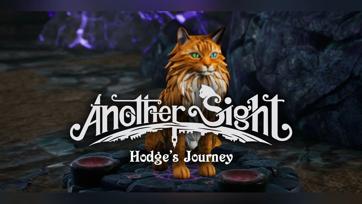 Арт из Another Sight - Hodge's Journey