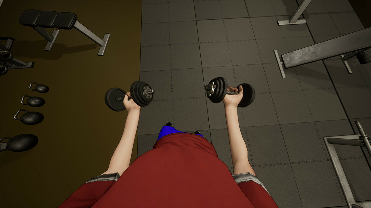 Gym Simulator - что это за игра, когда выйдет, трейлер и видео, системные  требования, картинки, цена, похожие игры