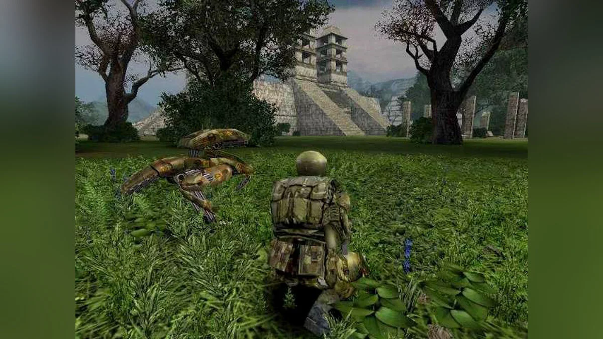 Картинка из 