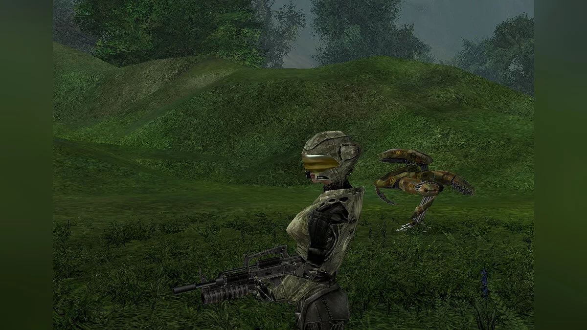 Картинка из 