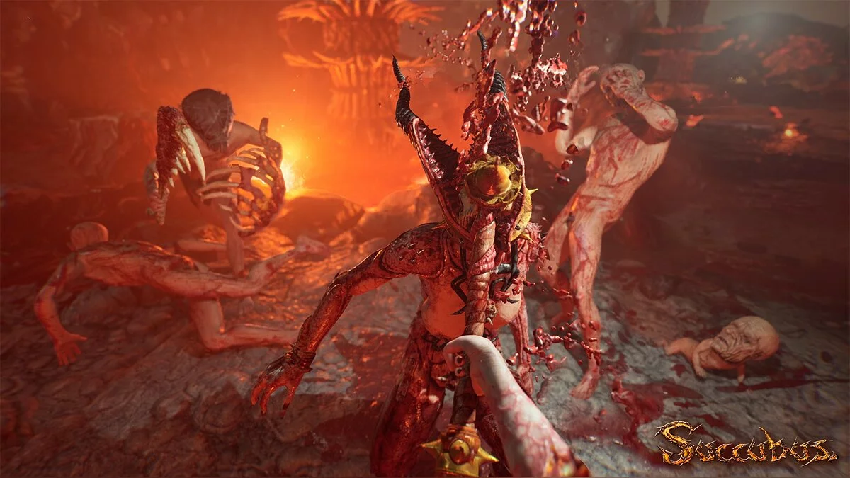 Картинка из 