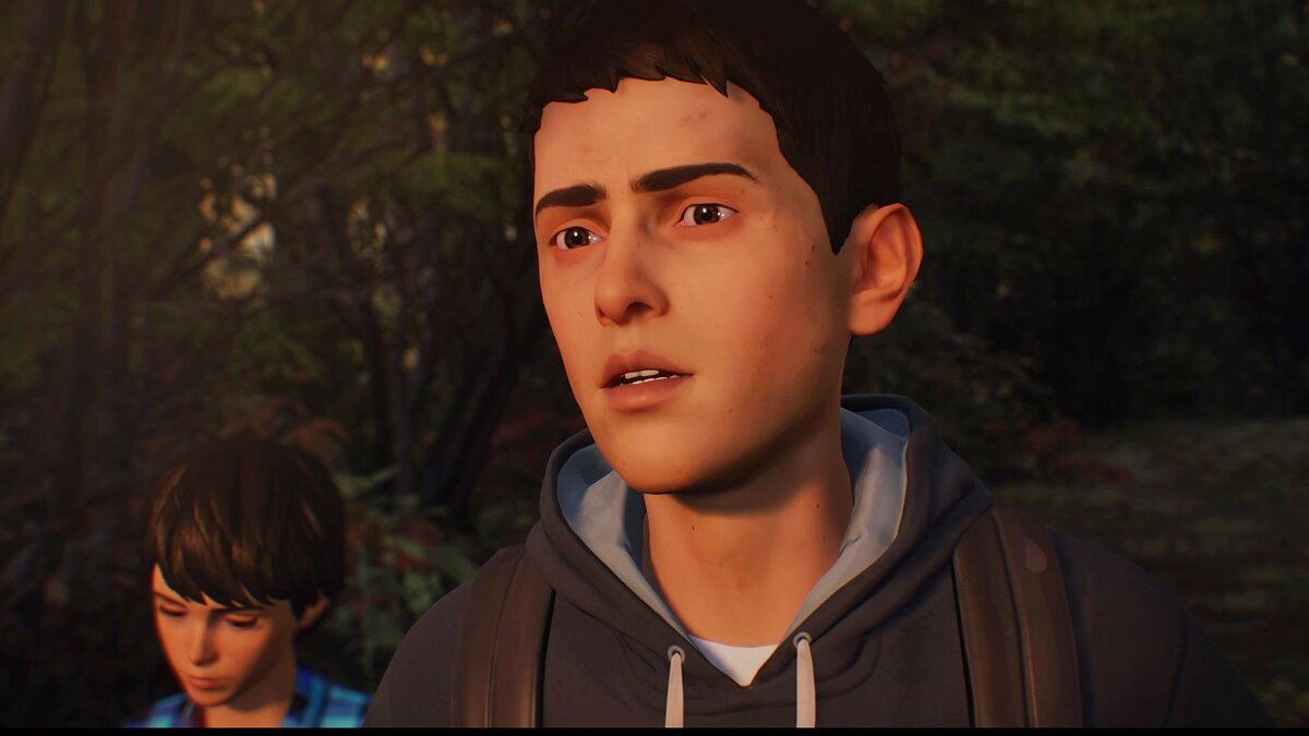 Life is Strange 2 - Episode 1: Roads - что это за игра, трейлер, системные  требования, отзывы и оценки, цены и скидки, гайды и прохождение, похожие  игры