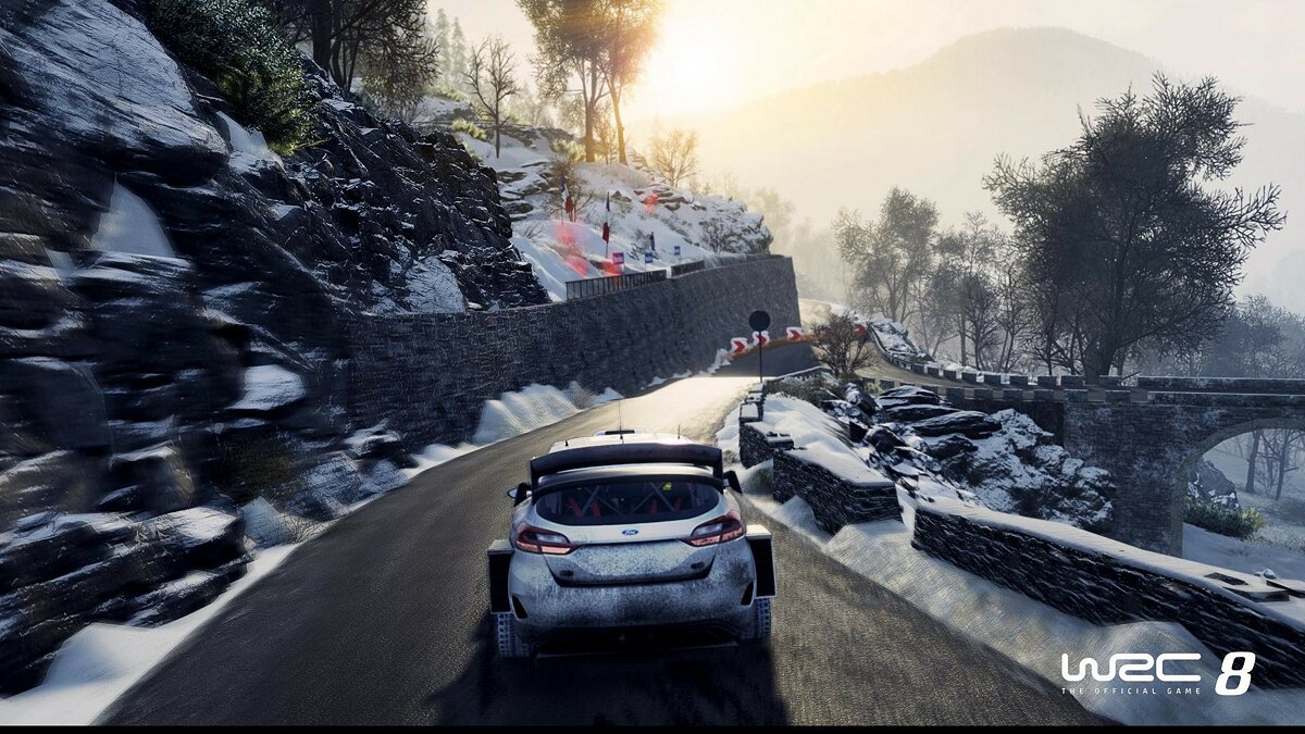 WRC 8 зависает