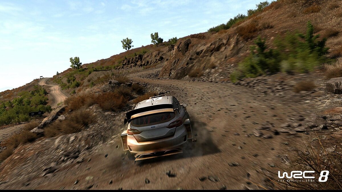 WRC 8 черный экран