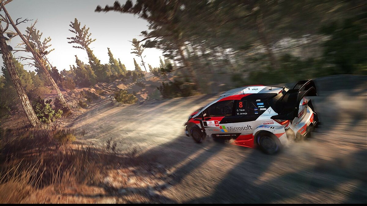 WRC 8 не скачивается