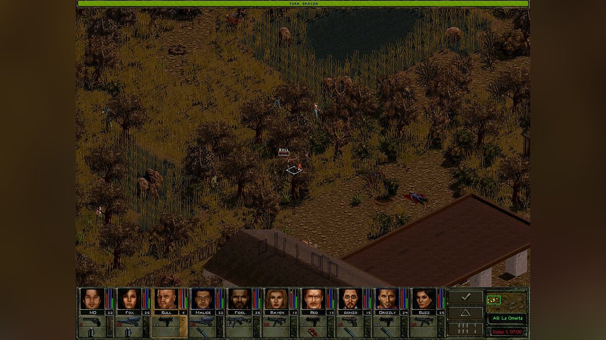 Jagged Alliance 2: Wildfire черный экран