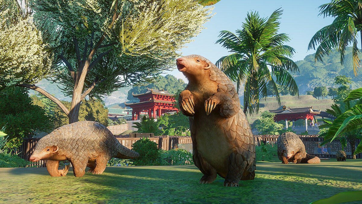 Planet zoo steam фото 99