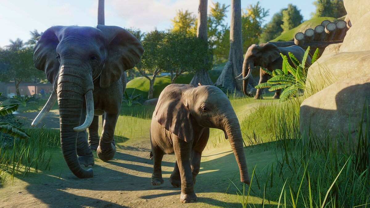 Planet Zoo - что это за игра, трейлер, системные требования, отзывы и  оценки, цены и скидки, гайды и прохождение, похожие игры