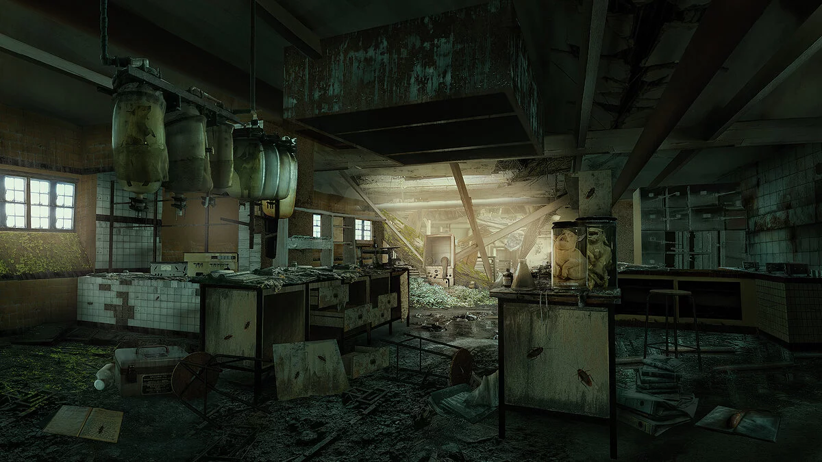 Картинка из 