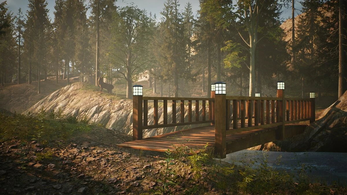 Скриншоты из Morels: The Hunt / Картинка 4