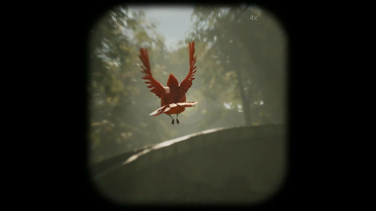 Скриншоты из Morels: The Hunt / Картинка 7