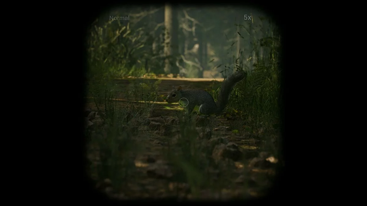 Скриншоты из Morels: The Hunt / Картинка 8