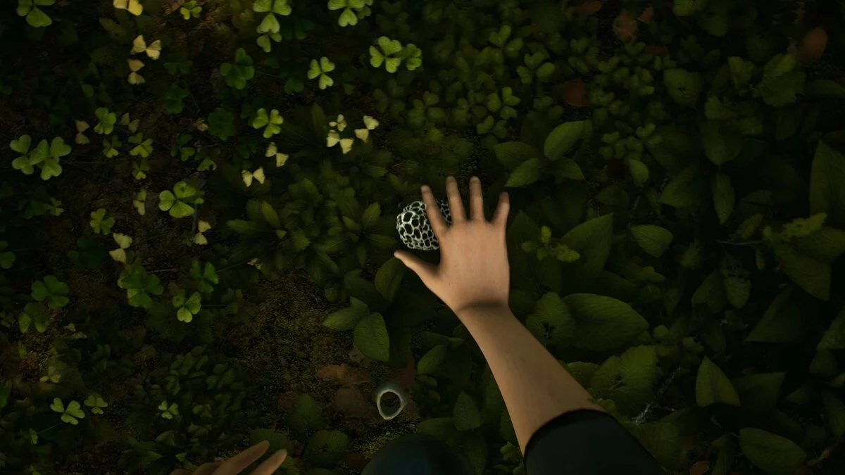 Скриншоты из Morels: The Hunt / Картинка 18