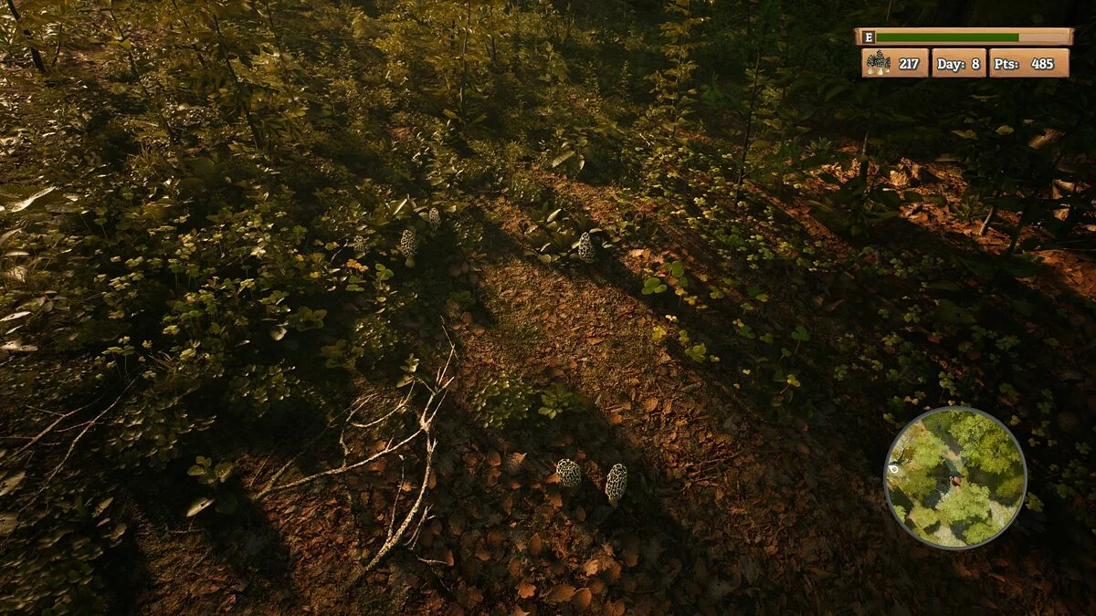 Скриншоты из Morels: The Hunt / Картинка 19