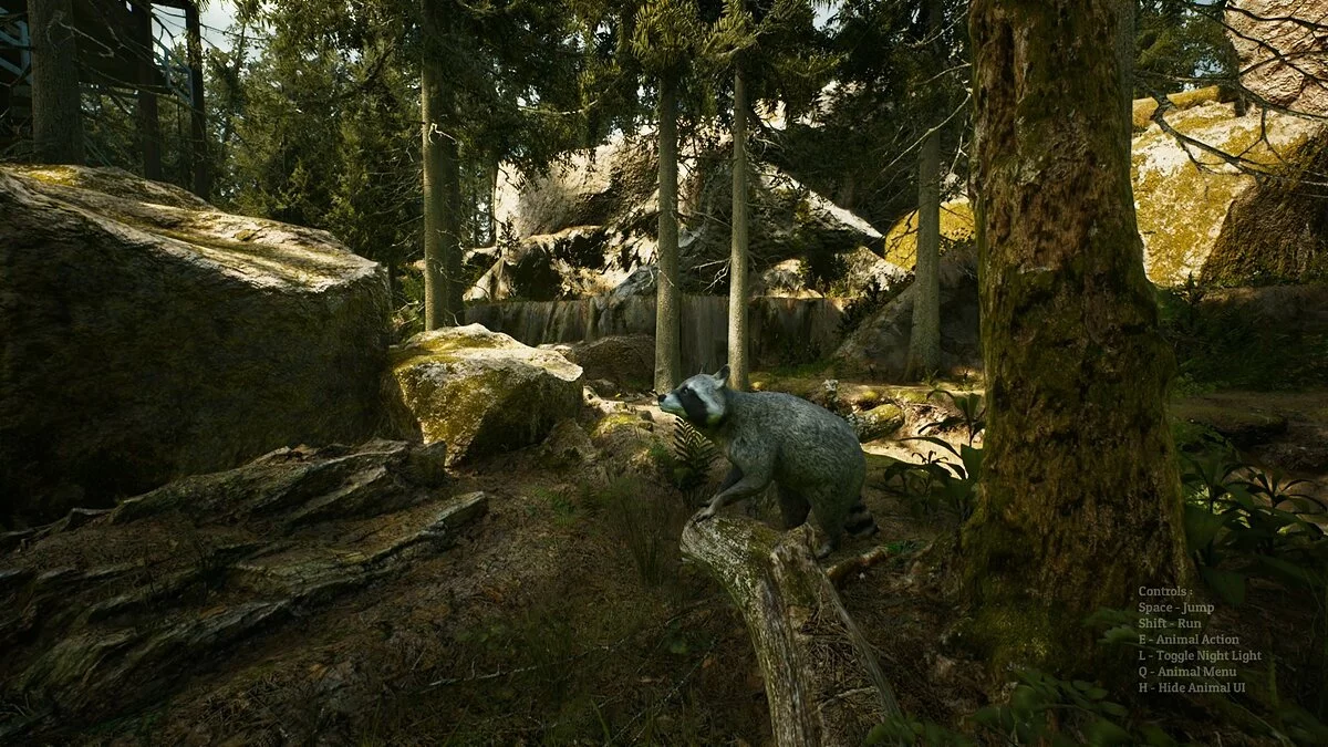 Скриншоты из Morels: The Hunt / Картинка 22