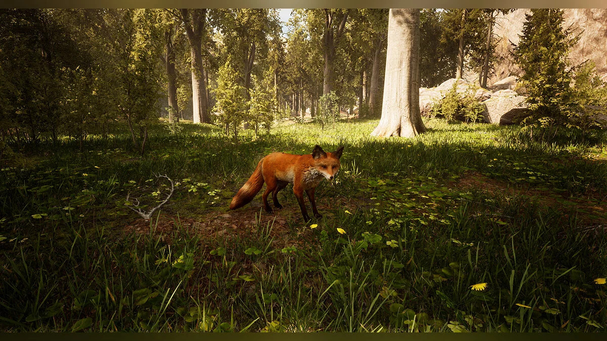 Скриншоты из Morels: The Hunt / Картинка 30