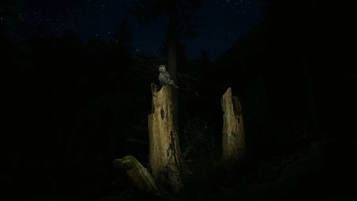 Скриншоты из Morels: The Hunt