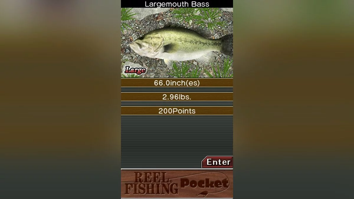 Скриншоты из Reel Fishing Pocket