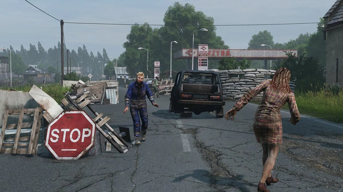 Скриншоты из DayZ Livonia