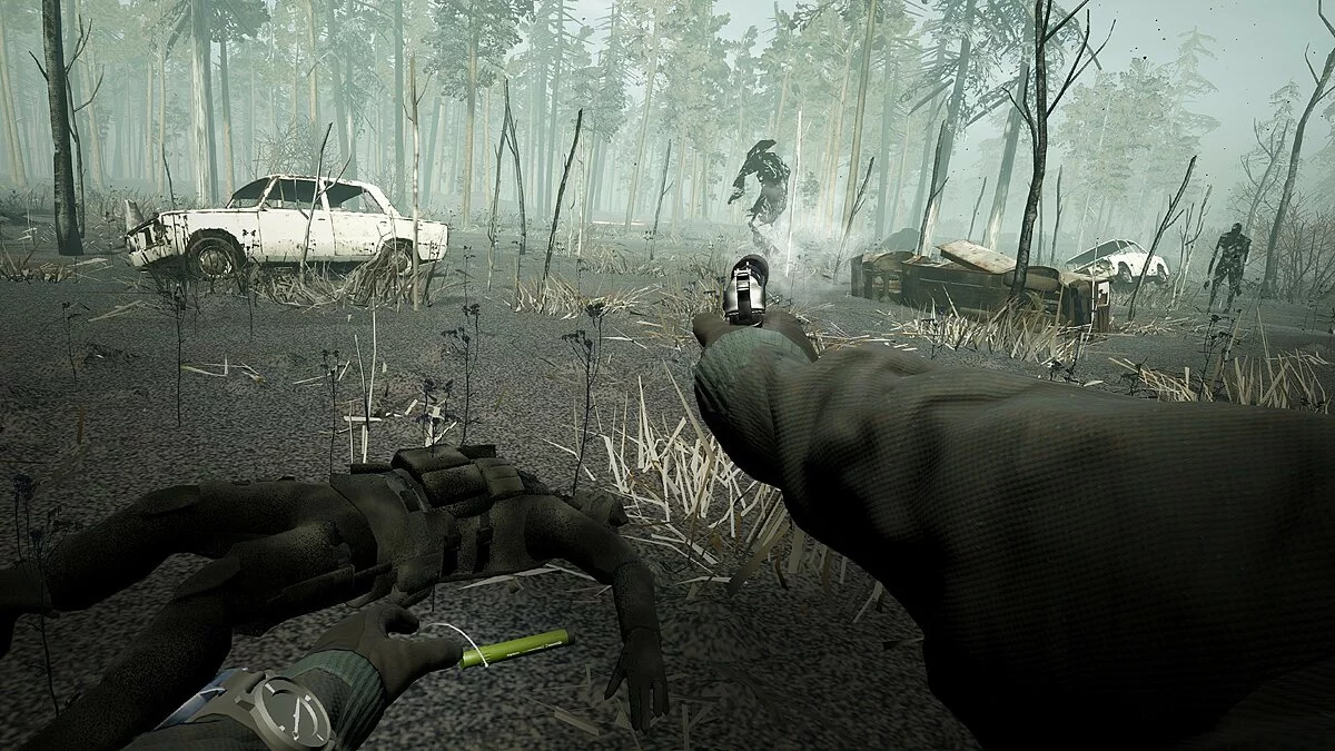 Картинка из 