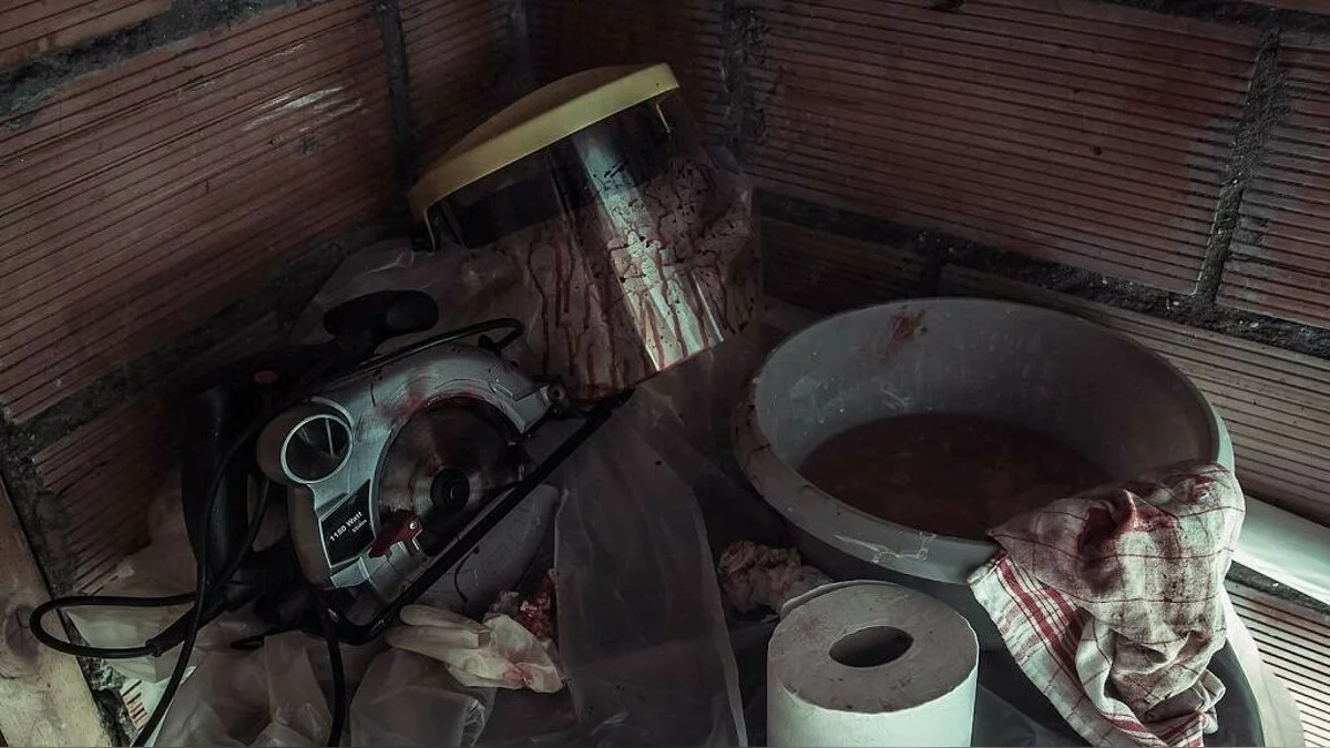 Скриншоты из The Fan