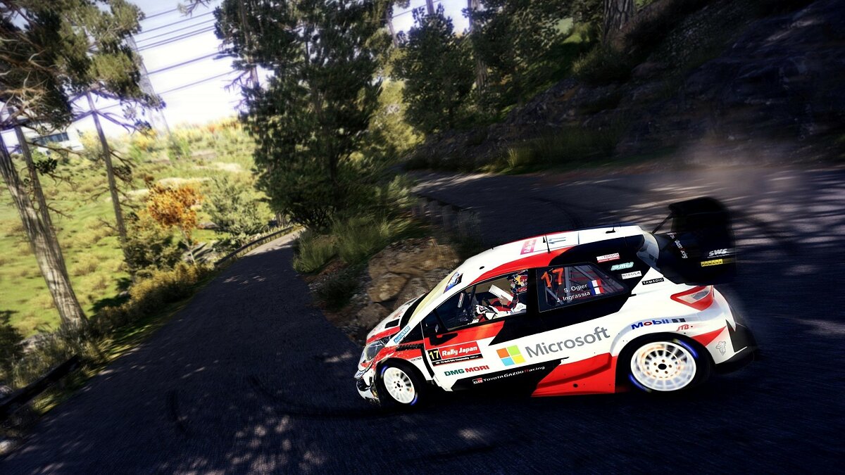 Wrc 10 стим фото 75