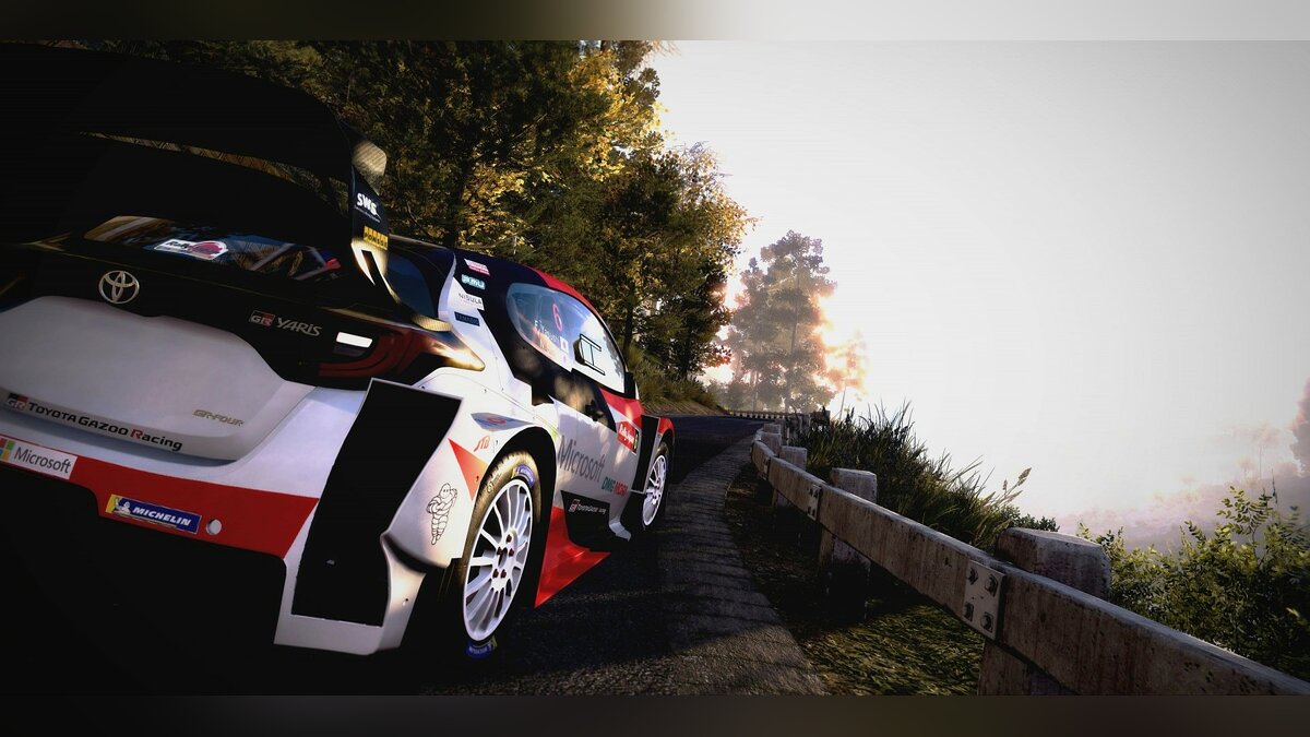 WRC 9 вылетает