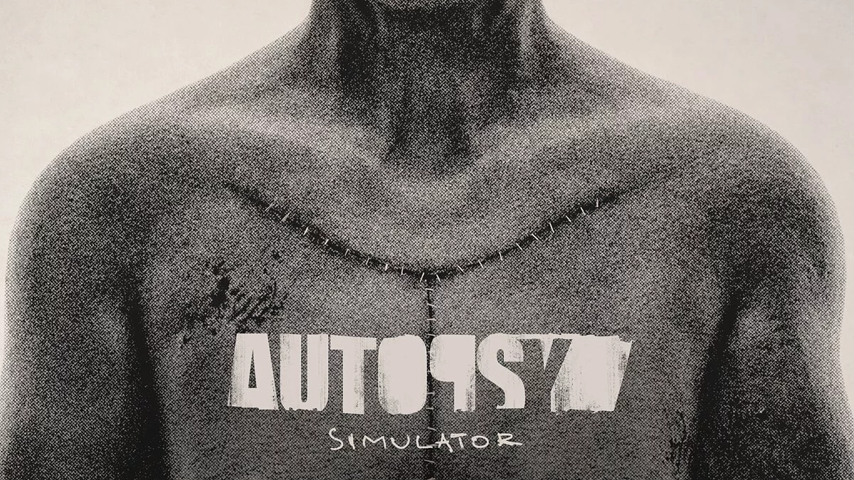 Арт из Autopsy Simulator