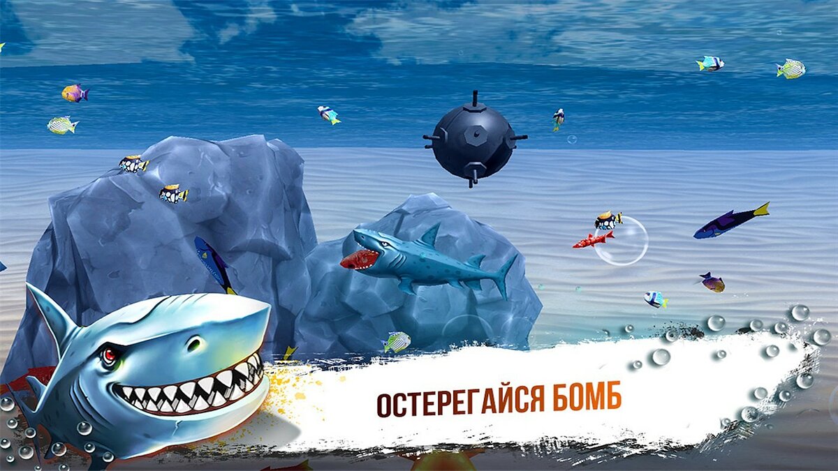 Hunting Shark: Sea Monster 3D - что это за игра, трейлер, системные  требования, отзывы и оценки, цены и скидки, гайды и прохождение, похожие  игры