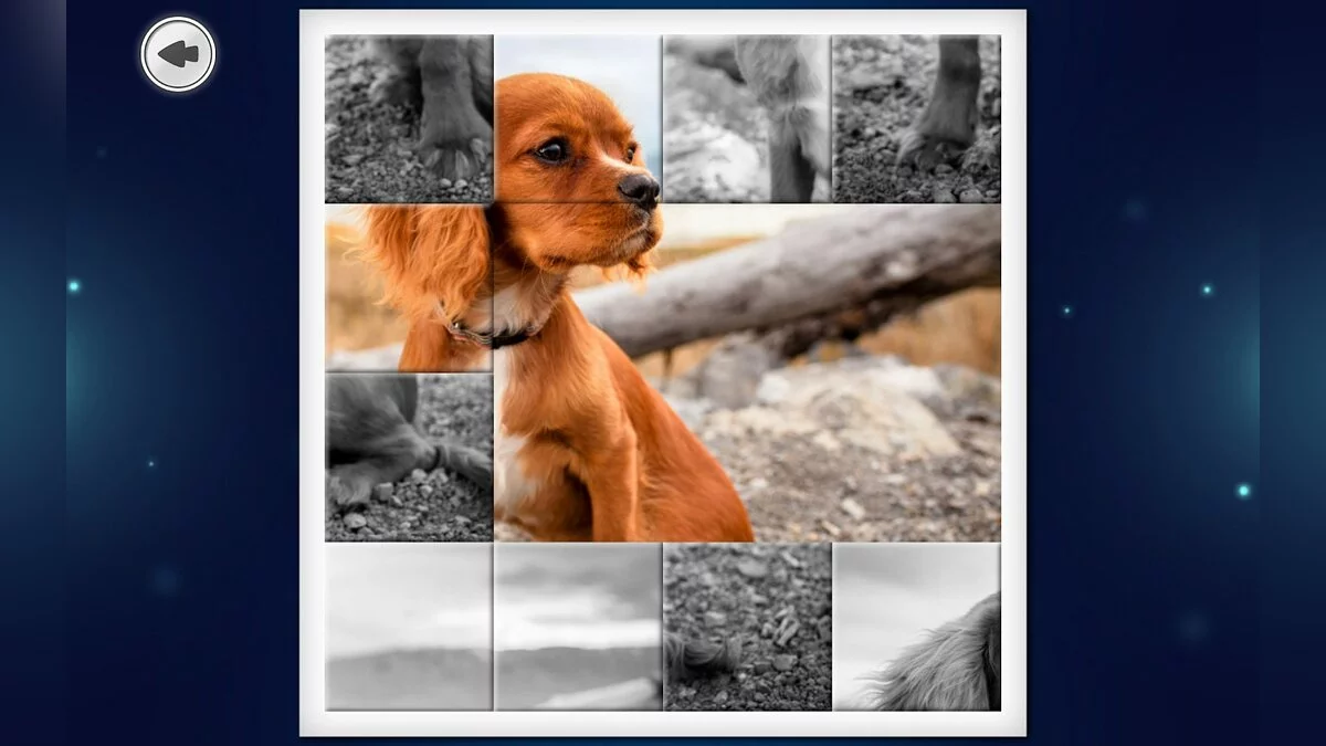 Картинка из 